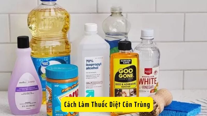 Cách Làm Thuốc Diệt Côn Trùng