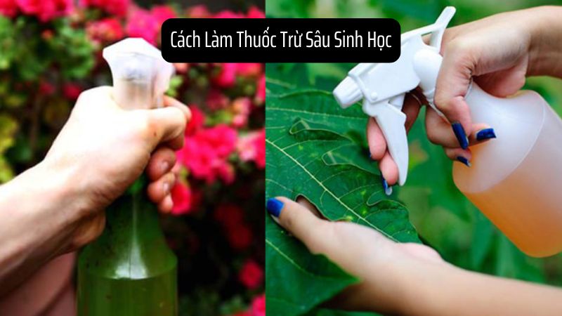 Cách Làm Thuốc Trừ Sâu Sinh Học