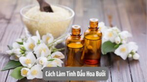 Cách Làm Tinh Dầu Hoa Bưởi