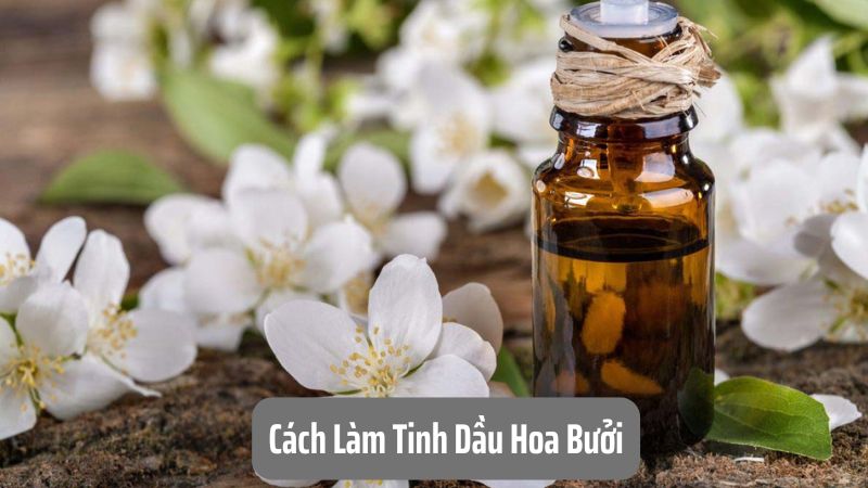 Cách Làm Tinh Dầu Hoa Bưởi